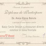 diploma_artsmile1
